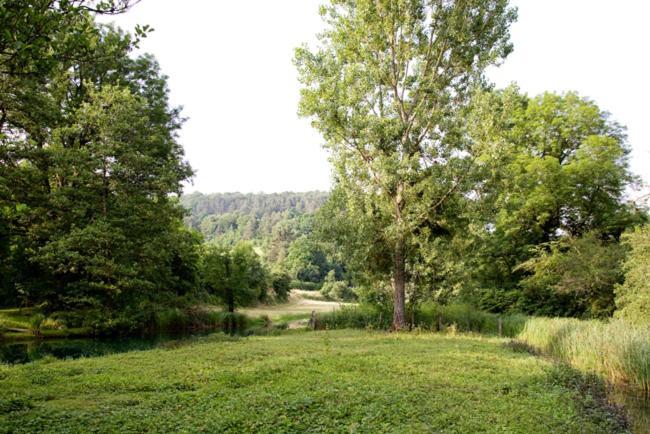 Gites La Forge De Sainte Marie Thonnance-les-Moulins ภายนอก รูปภาพ